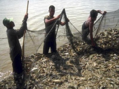 PESCA RIO (2)  CAMPESINOS